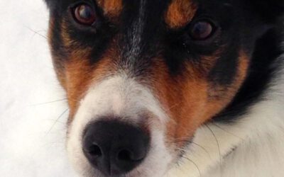 Die Crux mit der Figur