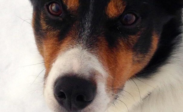 Die Crux mit der Figur