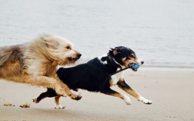 Eine kurze Einführung